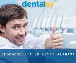 Endodoncista en Egypt (Alabama)