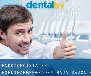 Endodoncista en Esenshammergroden (Baja Sajonia)