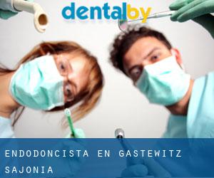 Endodoncista en Gastewitz (Sajonia)