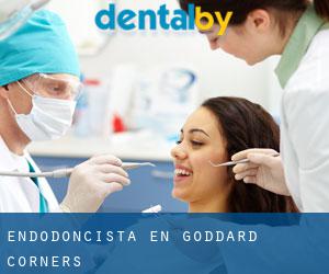 Endodoncista en Goddard Corners
