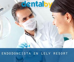 Endodoncista en Lely Resort