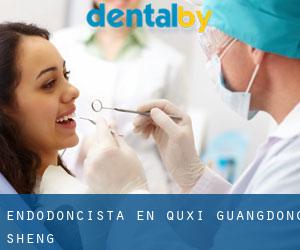 Endodoncista en Quxi (Guangdong Sheng)