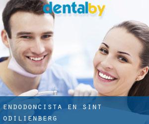 Endodoncista en Sint Odiliënberg