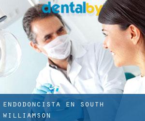 Endodoncista en South Williamson