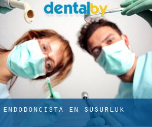 Endodoncista en Susurluk