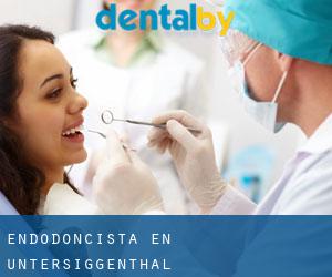 Endodoncista en Untersiggenthal