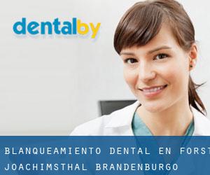 Blanqueamiento dental en Forst Joachimsthal (Brandenburgo)