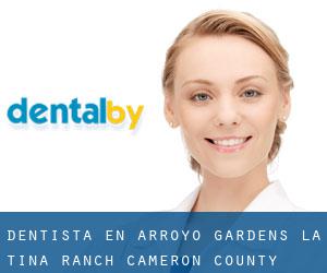 dentista en Arroyo Gardens-La Tina Ranch (Cameron County, Texas)
