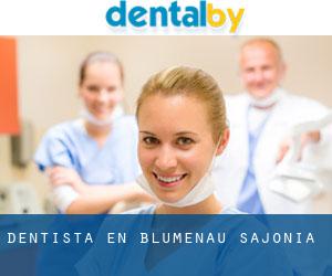 dentista en Blumenau (Sajonia)