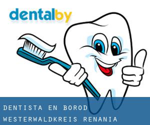 dentista en Borod (Westerwaldkreis, Renania-Palatinado)