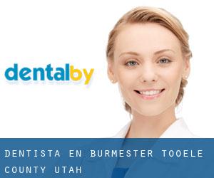 dentista en Burmester (Tooele County, Utah)
