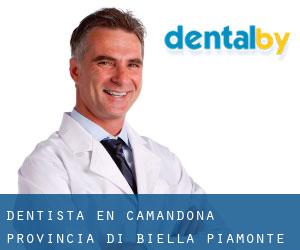 dentista en Camandona (Provincia di Biella, Piamonte)
