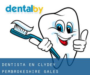 dentista en Clydey (Pembrokeshire, Gales)