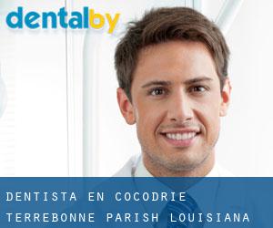 dentista en Cocodrie (Terrebonne Parish, Louisiana)