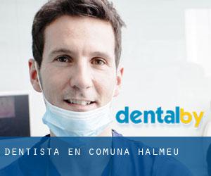 dentista en Comuna Halmeu