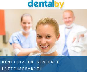 dentista en Gemeente Littenseradiel