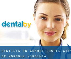 dentista en Granby Shores (City of Norfolk, Virginia)