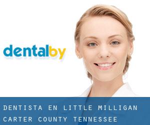 dentista en Little Milligan (Carter County, Tennessee)