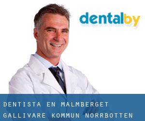 dentista en Malmberget (Gällivare Kommun, Norrbotten)