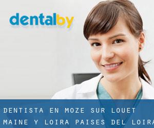 dentista en Mozé-sur-Louet (Maine y Loira, Países del Loira)
