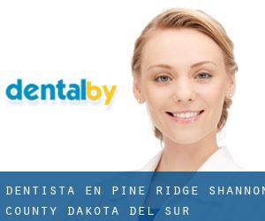 dentista en Pine Ridge (Shannon County, Dakota del Sur)