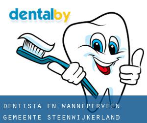 dentista en Wanneperveen (Gemeente Steenwijkerland, Overijssel)