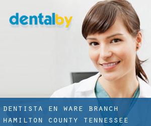 dentista en Ware Branch (Hamilton County, Tennessee)