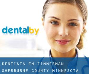 dentista en Zimmerman (Sherburne County, Minnesota)