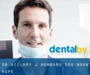 Dr. Hillary J. Homburg, DDS (Mount Hope)