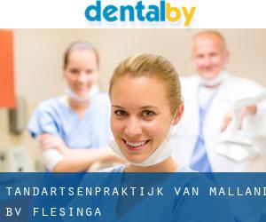Tandartsenpraktijk Van Malland B.V. (Flesinga)