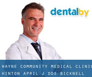Wayne Community Medical Clinic: Hinton April J DDS (Bicknell)